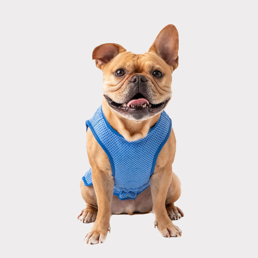 Cooling Ice Vest for Dogs