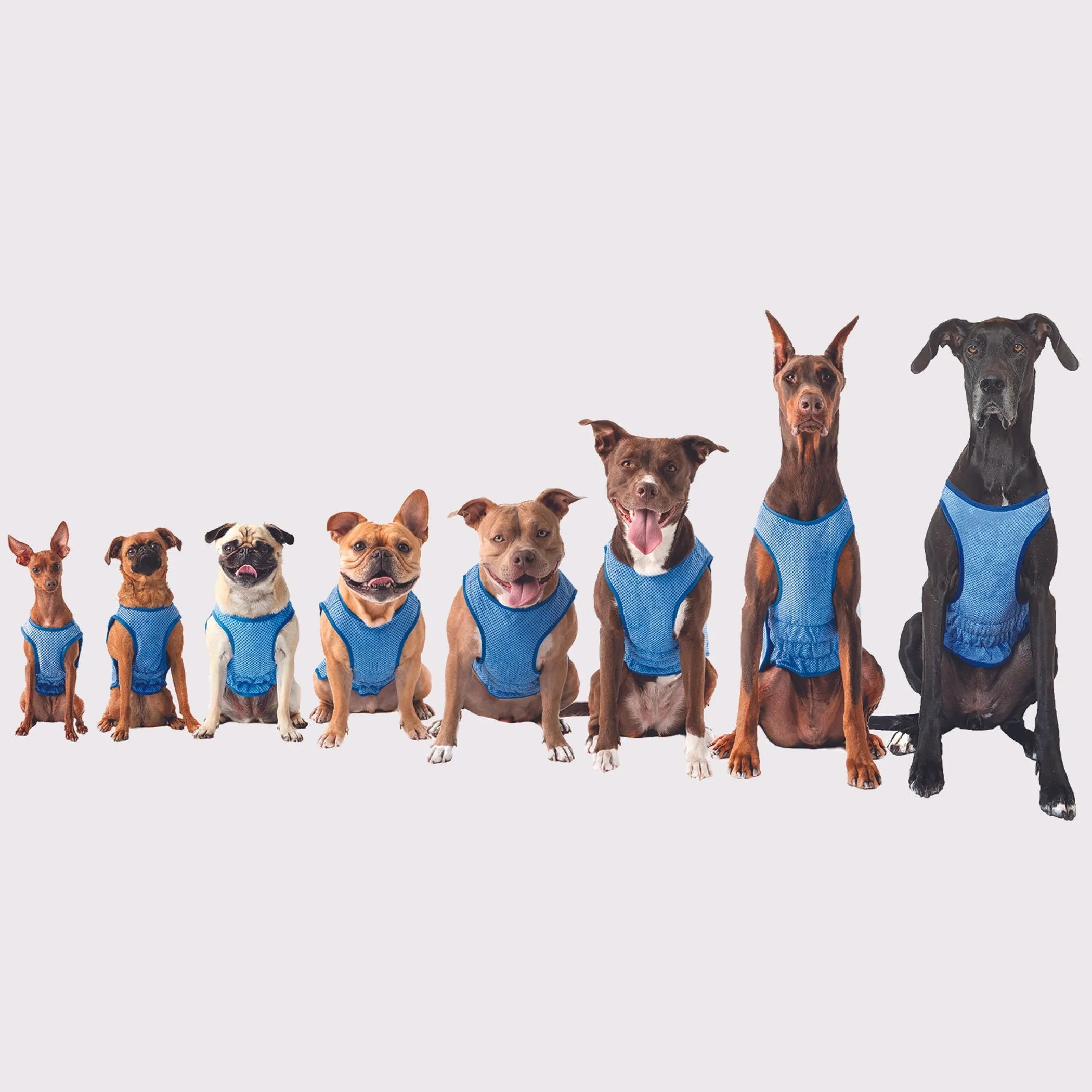 Cooling Ice Vest for Dogs