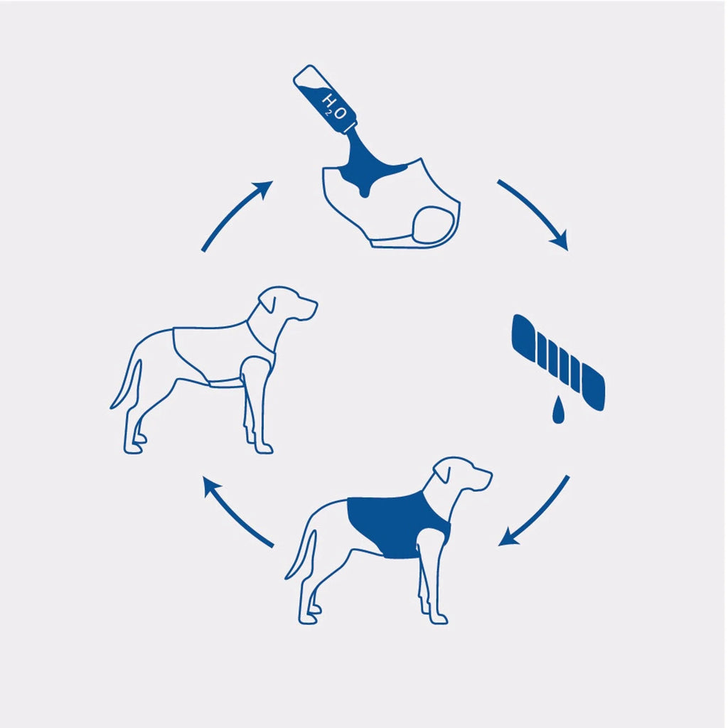 Cooling Ice Vest for Dogs