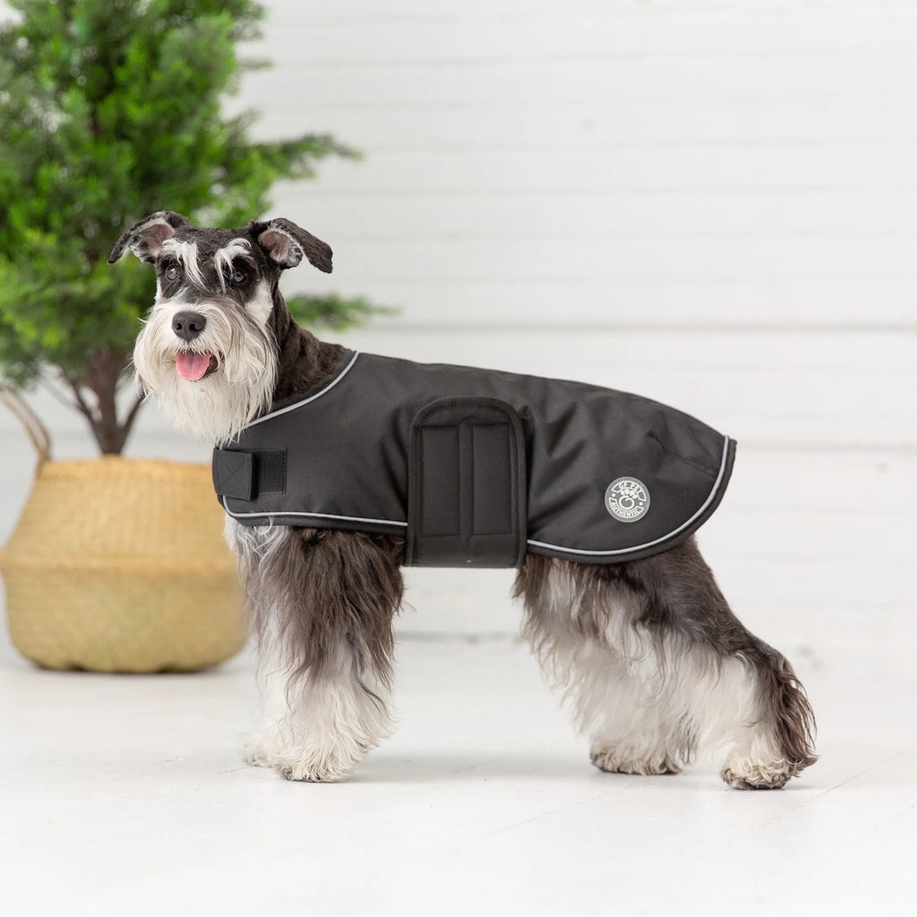 Waterproof Dog Blanket Jacket