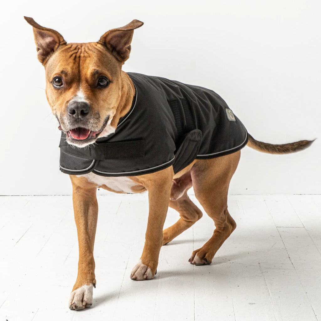 Waterproof Dog Blanket Jacket