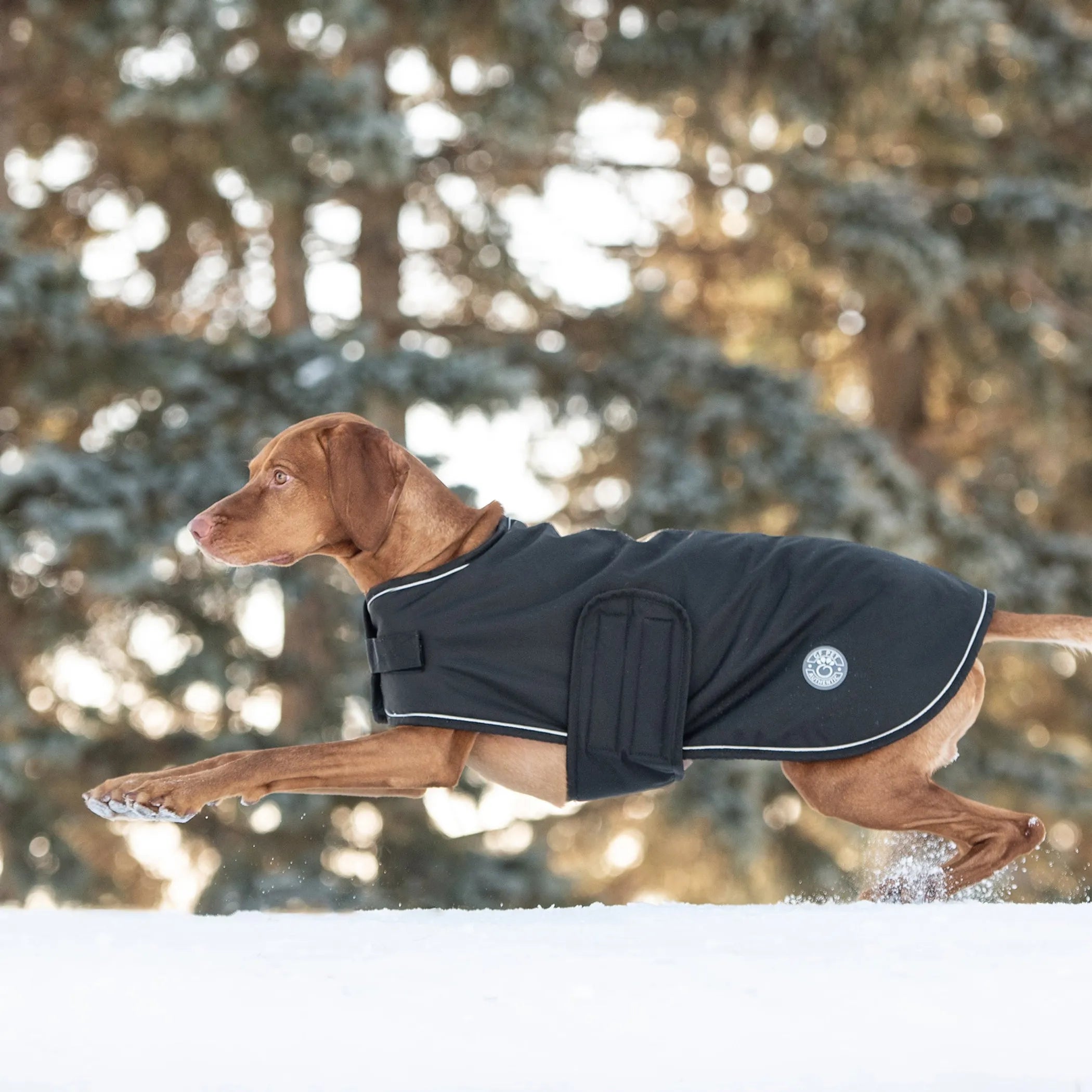 Waterproof Dog Blanket Jacket