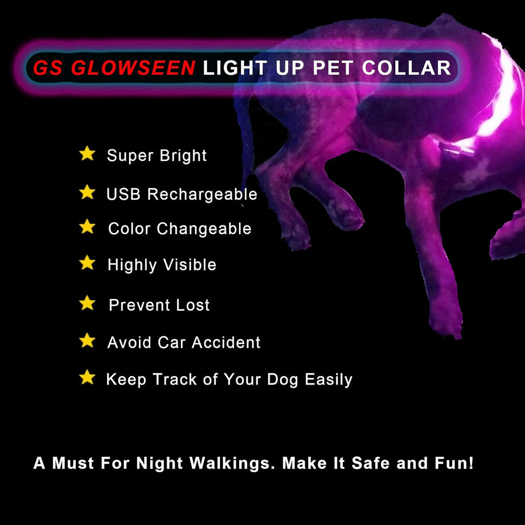 The Night Hiking Bundle — Pack + LED Collar