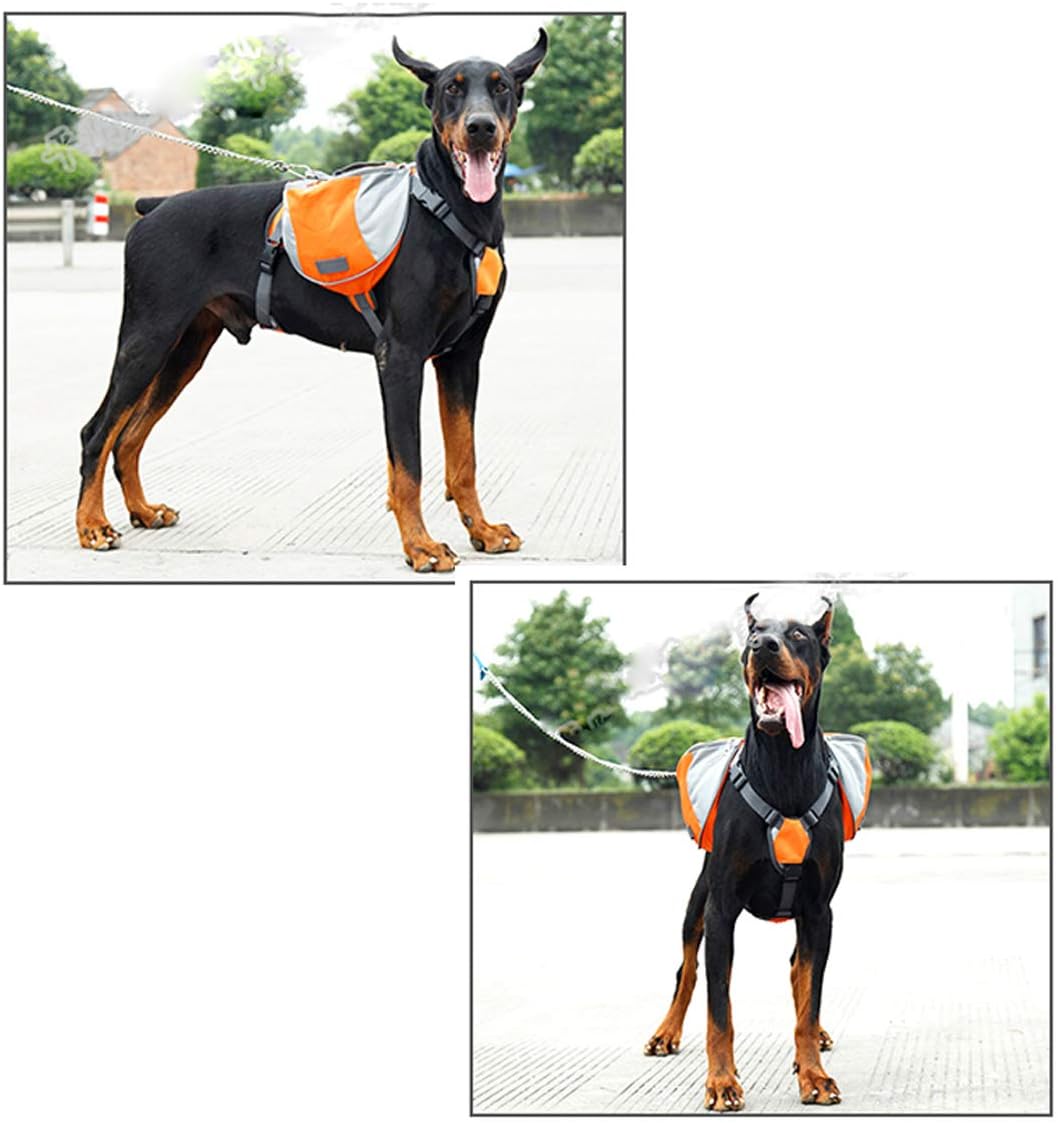 The Night Hiking Bundle — Pack + LED Collar