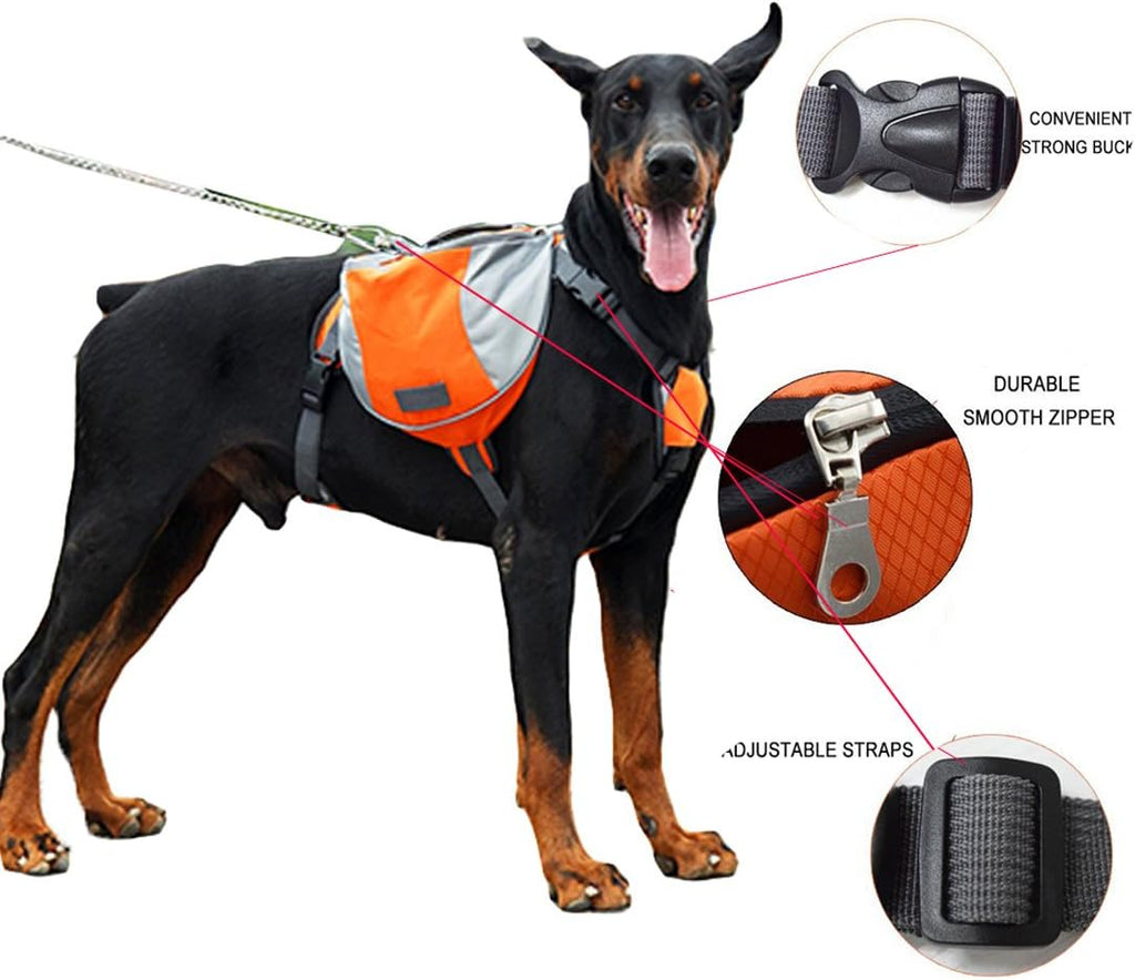 The Night Hiking Bundle — Pack + LED Collar