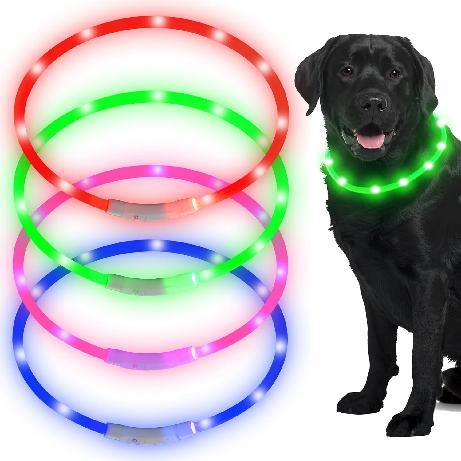 The Night Hiking Bundle — Pack + LED Collar