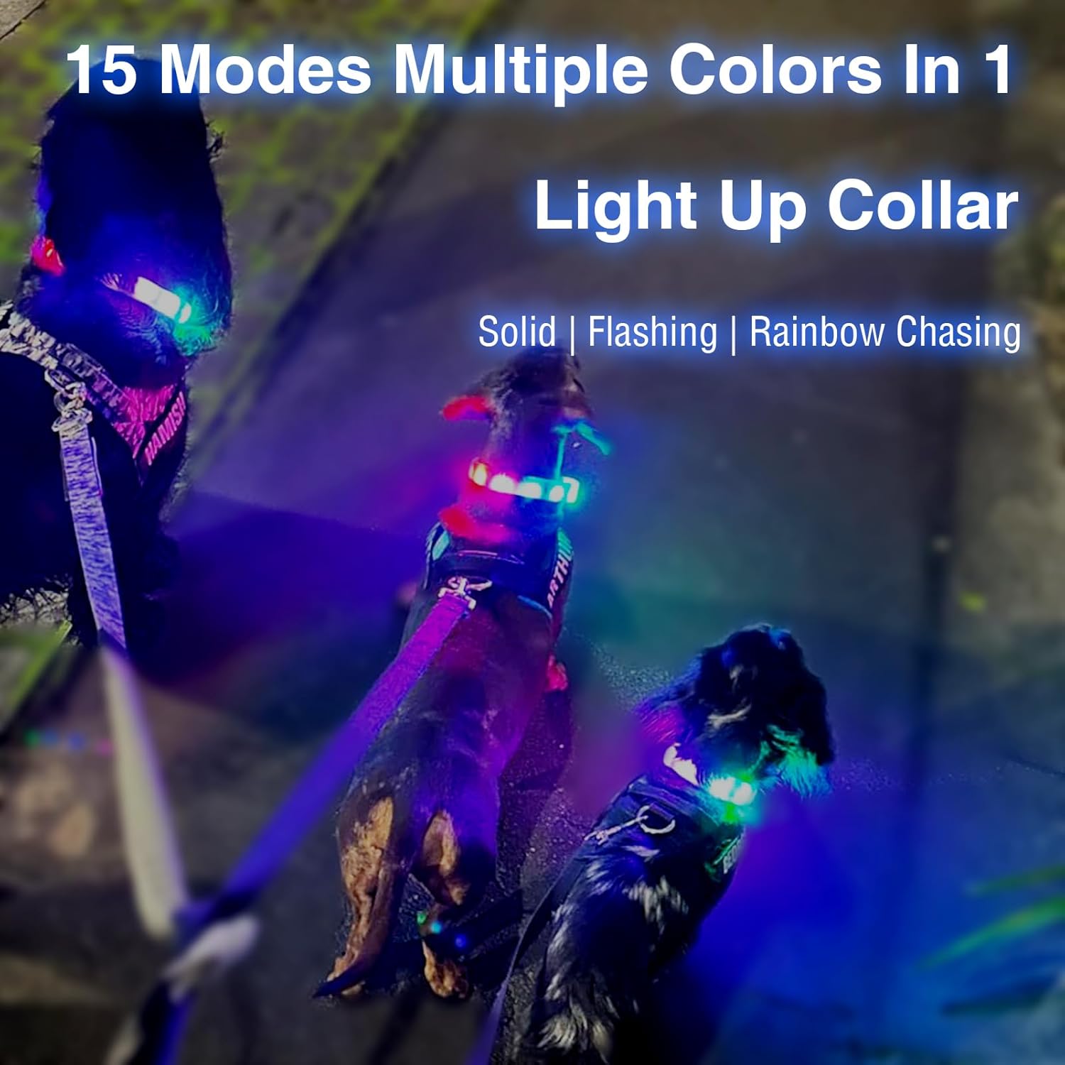 The Night Hiking Bundle — Pack + LED Collar