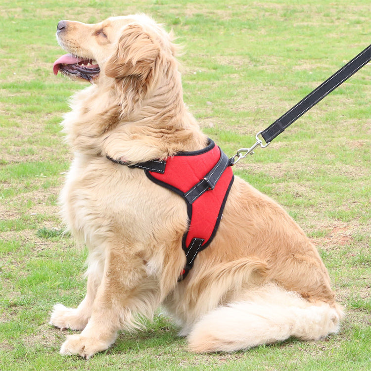 PawPeak Trail Harness