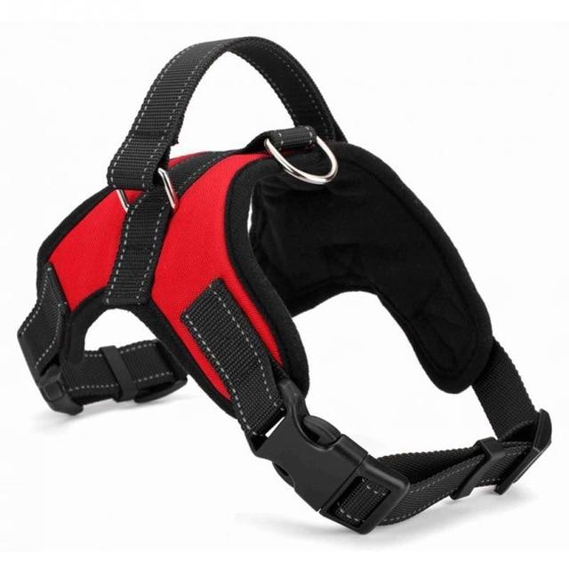 PawPeak Trail Harness