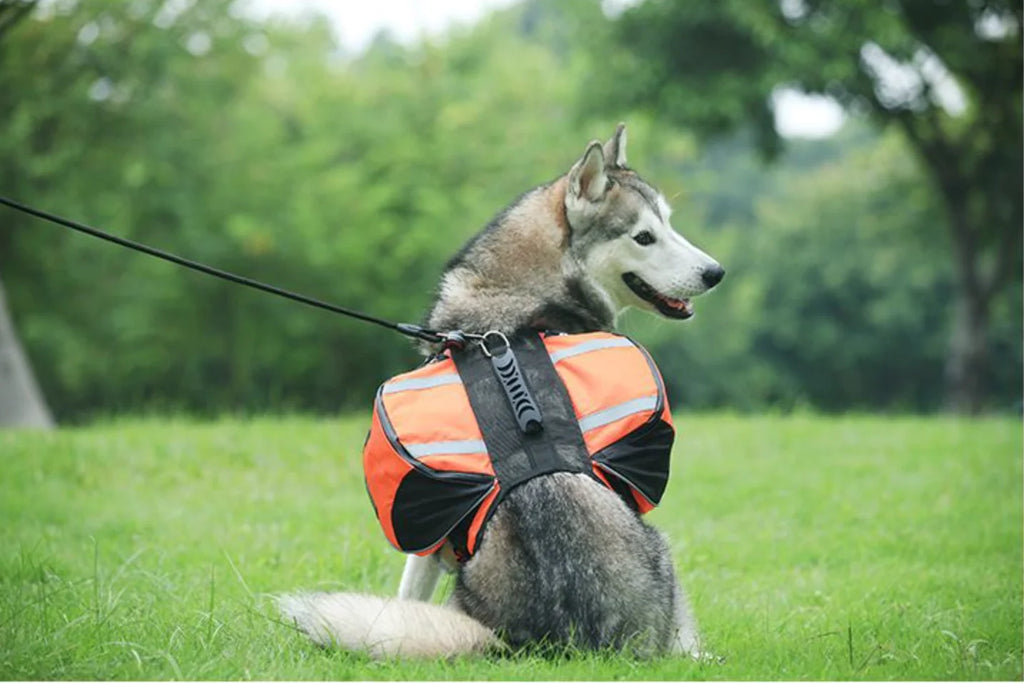 PawPeak TrailPack Dog Saddlebag