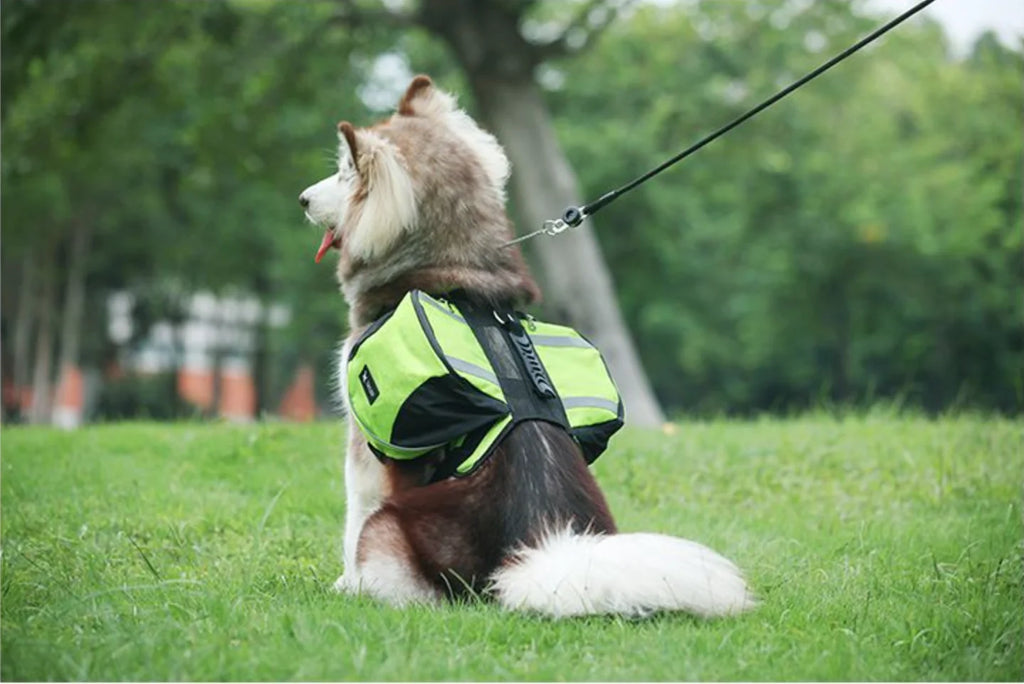 PawPeak TrailPack Dog Saddlebag