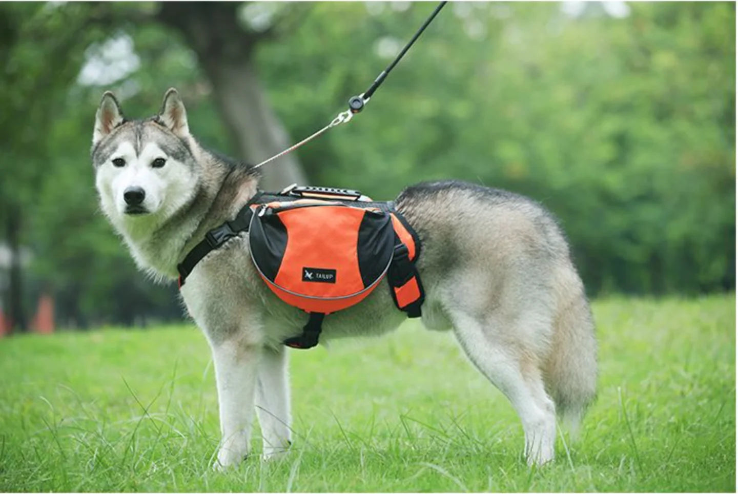 PawPeak TrailPack Dog Saddlebag